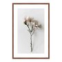 Quadro Decorativo Natureza Minimalista Flores