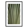 Quadro Decorativo Natureza Minimalista Folha Verde