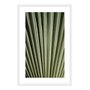 Quadro Decorativo Natureza Minimalista Folha Verde