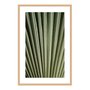 Quadro Decorativo Natureza Minimalista Folha Verde