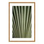 Quadro Decorativo Natureza Minimalista Folha Verde