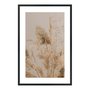 Quadro Decorativo Natureza Minimalista Plantas Secas