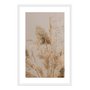 Quadro Decorativo Natureza Minimalista Plantas Secas
