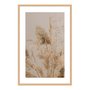 Quadro Decorativo Natureza Minimalista Plantas Secas
