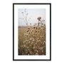 Quadro Decorativo Natureza Minimalista Plantas Secas