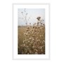 Quadro Decorativo Natureza Minimalista Plantas Secas
