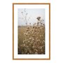 Quadro Decorativo Natureza Minimalista Plantas Secas
