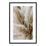 Quadro Decorativo Natureza Minimalista Plantas Secas