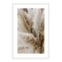 Quadro Decorativo Natureza Minimalista Plantas Secas