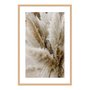 Quadro Decorativo Natureza Minimalista Plantas Secas