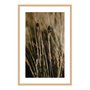 Quadro Decorativo Natureza Minimalista Plantas Secas