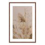 Quadro Decorativo Natureza Minimalista Plantas Secas