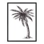 Quadro Decorativo Palmeira