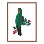 Quadro Decorativo Papagaio Verde