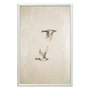 Quadro Decorativo Patos Vintage Minimalista