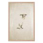 Quadro Decorativo Patos Vintage Minimalista