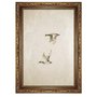 Quadro Decorativo Patos Vintage Minimalista