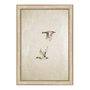 Quadro Decorativo Patos Vintage Minimalista