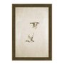 Quadro Decorativo Patos Vintage Minimalista