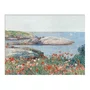 Quadro Decorativo Pintura "Papoulas, Ilhas de Shoals" de Frederick Childe Hassam