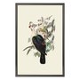 Quadro Decorativo Pombos De Fruta Vintage