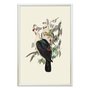 Quadro Decorativo Pombos De Fruta Vintage