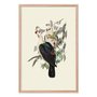 Quadro Decorativo Pombos De Fruta Vintage