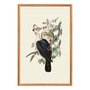Quadro Decorativo Pombos De Fruta Vintage