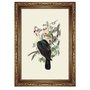 Quadro Decorativo Pombos De Fruta Vintage