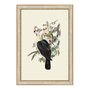 Quadro Decorativo Pombos De Fruta Vintage