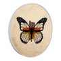 Quadro Decorativo Redondo Borboleta Fitas com Moldura em Couro Sintético Quadro Decorativo Redondo Borboleta Fitas com Moldura em Couro Sintético
