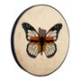 Quadro Decorativo Redondo Borboleta Fitas com Moldura em Couro Sintético Quadro Decorativo Redondo Borboleta Fitas com Moldura em Couro Sintético