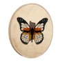 Quadro Decorativo Redondo Borboleta Fitas com Moldura em Couro Sintético Quadro Decorativo Redondo Borboleta Fitas com Moldura em Couro Sintético