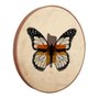 Quadro Decorativo Redondo Borboleta Fitas com Moldura em Couro Sintético Quadro Decorativo Redondo Borboleta Fitas com Moldura em Couro Sintético
