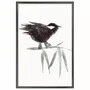 Quadro Decorativo Suzume Pintura de Pardal Pousado em galho no Estilo Sumiê