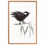 Quadro Decorativo Suzume Pintura de Pardal Pousado em galho no Estilo Sumiê