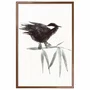 Quadro Decorativo Suzume Pintura de Pardal Pousado em galho no Estilo Sumiê