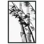Quadro Decorativo Take Arte de Bambus no Estilo Sumiê