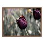 Quadro Decorativo Tulipa Roxa