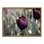 Quadro Decorativo Tulipa Roxa