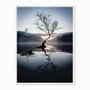 Quadro em Tela Canvas Árvore Seca Sob Névoa