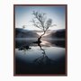 Quadro em Tela Canvas Árvore Seca Sob Névoa