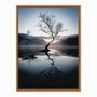 Quadro em Tela Canvas Árvore Seca Sob Névoa