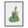 Quadro em Tela Canvas Cactus com Flores