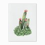 Quadro em Tela Canvas Cactus com Flores
