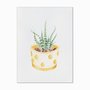 Quadro em Tela Canvas Cactus em Vaso Amarelo com Detalhes