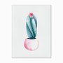 Quadro em Tela Canvas Cactus em Vaso Rosa