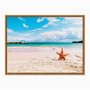 Quadro em Tela Canvas Estrela do Mar