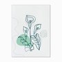 Quadro em Tela Canvas Flor Copo-De-Leite