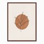 Quadro em Tela Canvas Folha com Círculo Marrom